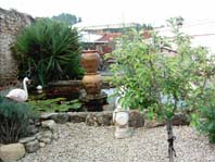 Pond